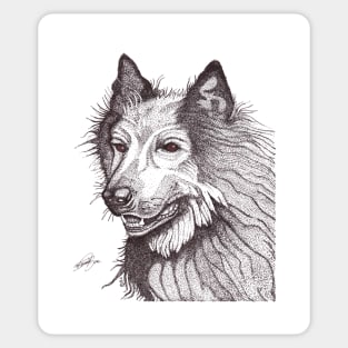 Belgian shepherd groenendael Sticker